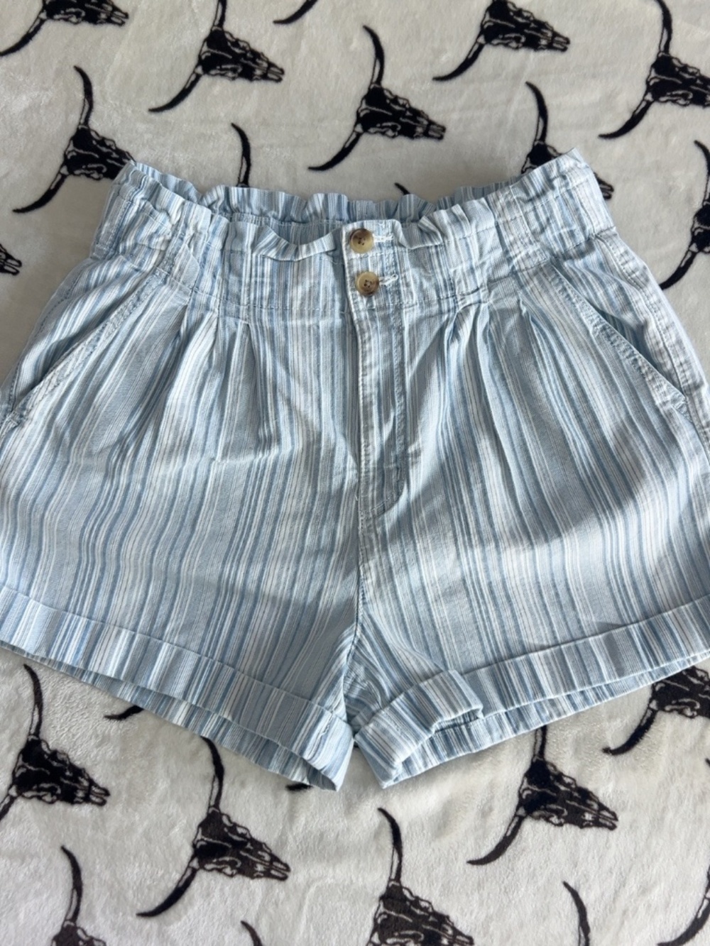 American Eagle Blue White Striped Paperbag High Rise Shorts Size 10